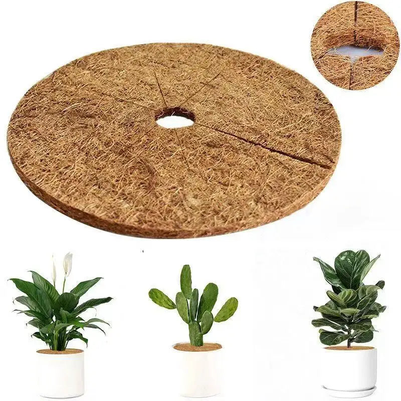 tapis protection pots fleurs marron clair texture naturelle antigel biodegradable 20cm 25cm 30cm 35cm
