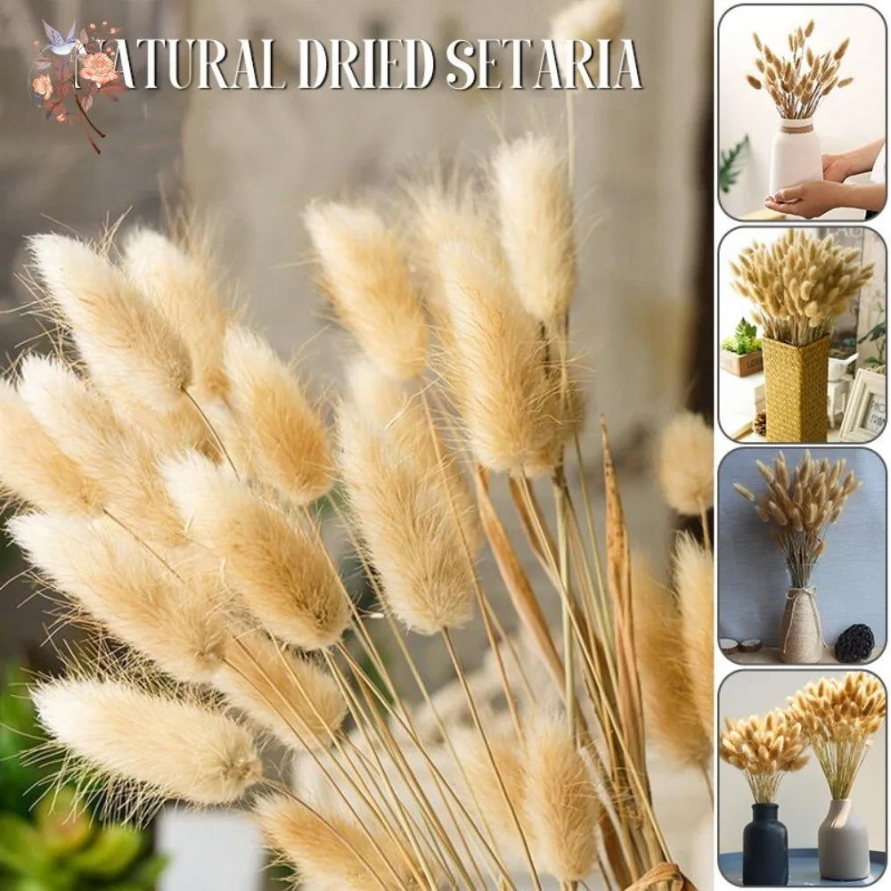 décoration boho plumes séchées naturelles mix beiges roses grises anniversaire maison