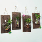 vases murals transparents bois marron plantes vertes deco bohème minimaliste suspension chambre salon