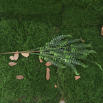 décoration murale plante artificielle fougère verte pot céramique gravier extérieur naturel moderne