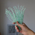 décoration maison mini beans blanc beige vert bleu rose naturelle bricolage anniversaire baby shower