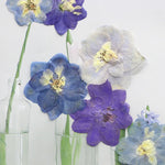 fleurs séchées bleu blanc jaune naturelles petals décor intérieur anniversaire cadeau art artisanal