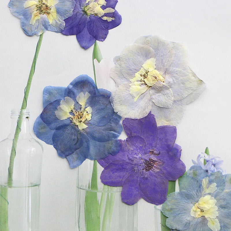 fleurs séchées bleu blanc jaune naturelles petals décor intérieur anniversaire cadeau art artisanal