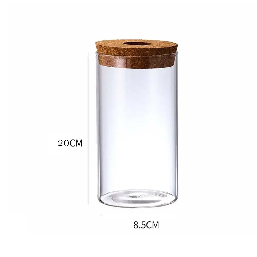 Pot plante hydroponique transparent moderne minimaliste 8cm 10cm 12cm 15cm 20cm