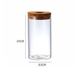 Pot plante hydroponique transparent moderne minimaliste 8cm 10cm 12cm 15cm 20cm