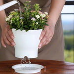 pots fleurs résine moderne blanc gris soucoupes arrosoir décoration intérieure plantes vertes
