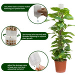 support plantes intérieur irrigation monstera adhésif conteneur eau gravier mousse terre modernes transparents
