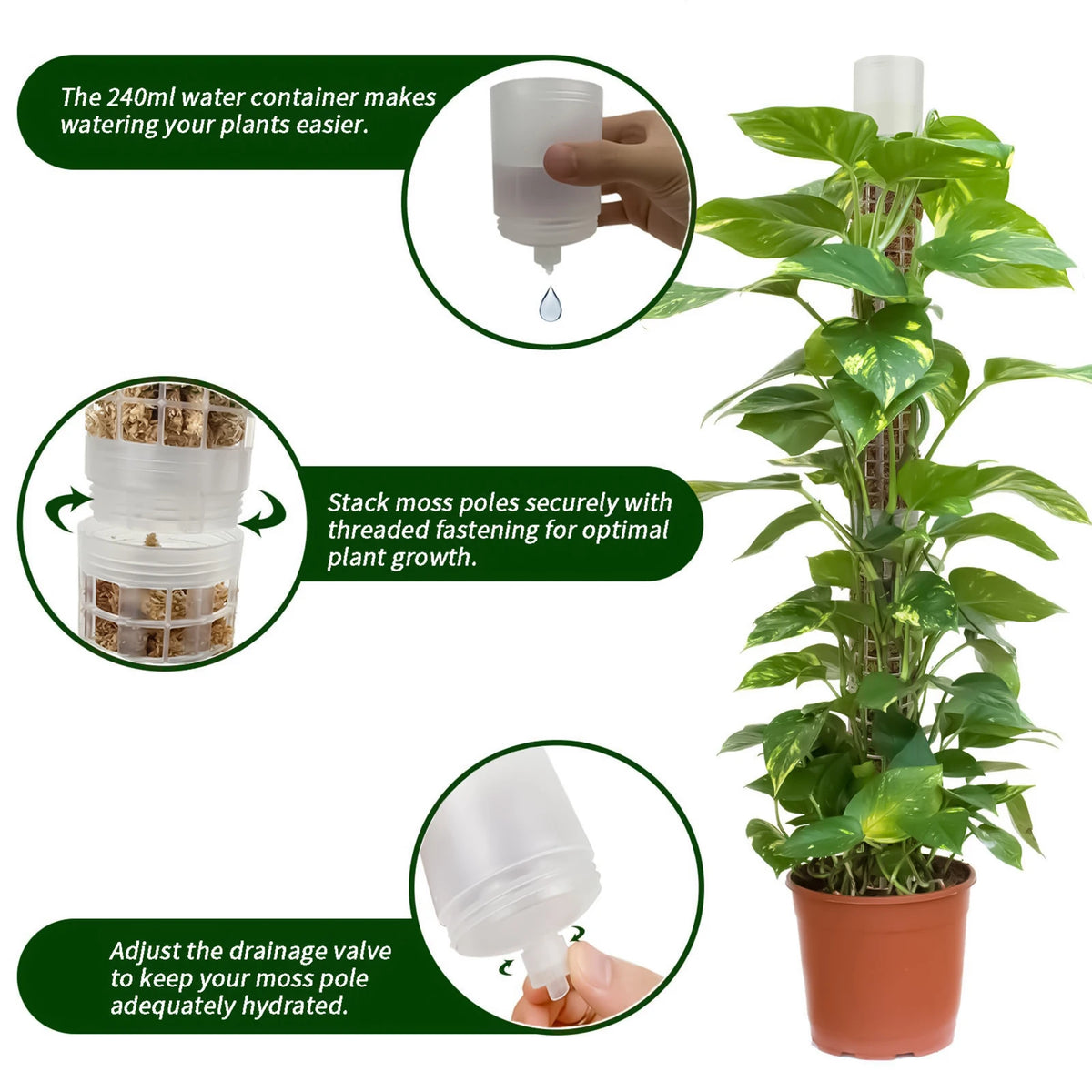 support plantes intérieur irrigation monstera adhésif conteneur eau gravier mousse terre modernes transparents