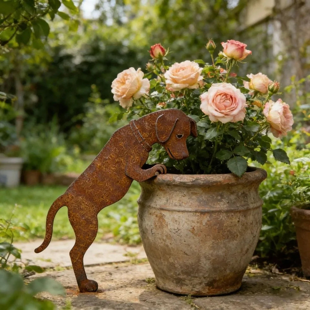 décoration rustique chien métal rouille pot fleurs jardin ornement robusteextérieur