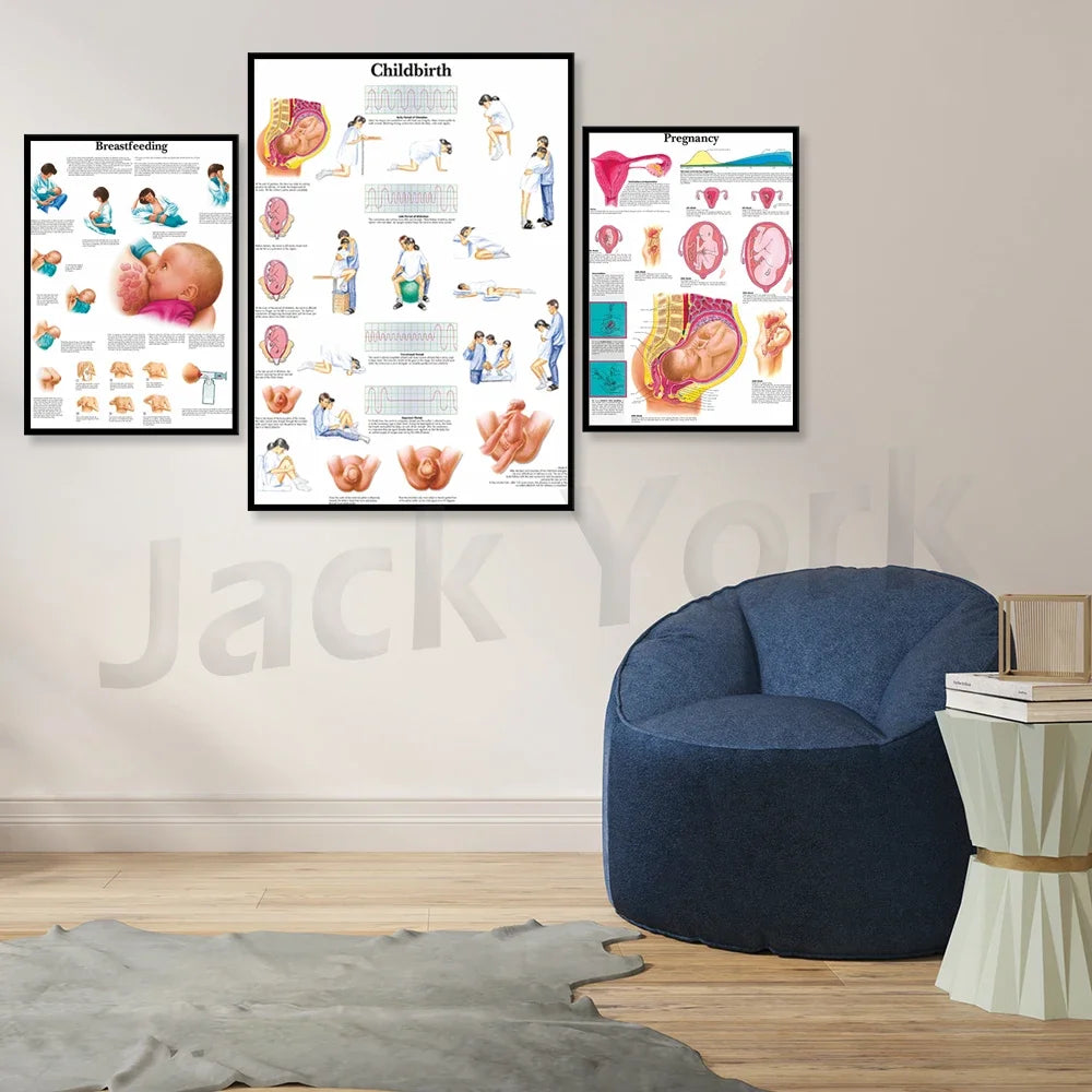 Des affiches informatives sur les différentes étapes de la grossesse et de l'accouchement sont exposées sur le mur, avec un fauteuil confortable pour se détendre.