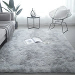 tapis moderne gris bleu rose beige peluche uni résistant décoloration sol