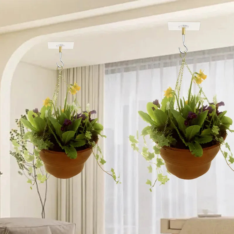 crochets suspension adhésifs transparent argenté doré fleurs plantes grimpantes modernes minimalistes tiges filetées bases