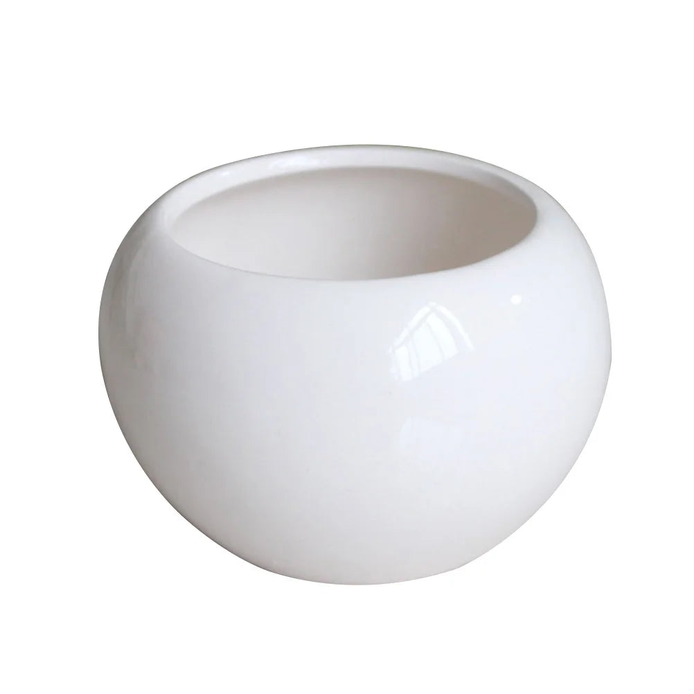 pots céramique blanc modernes intérieur succulentes élégant minimaliste fleurs plantes