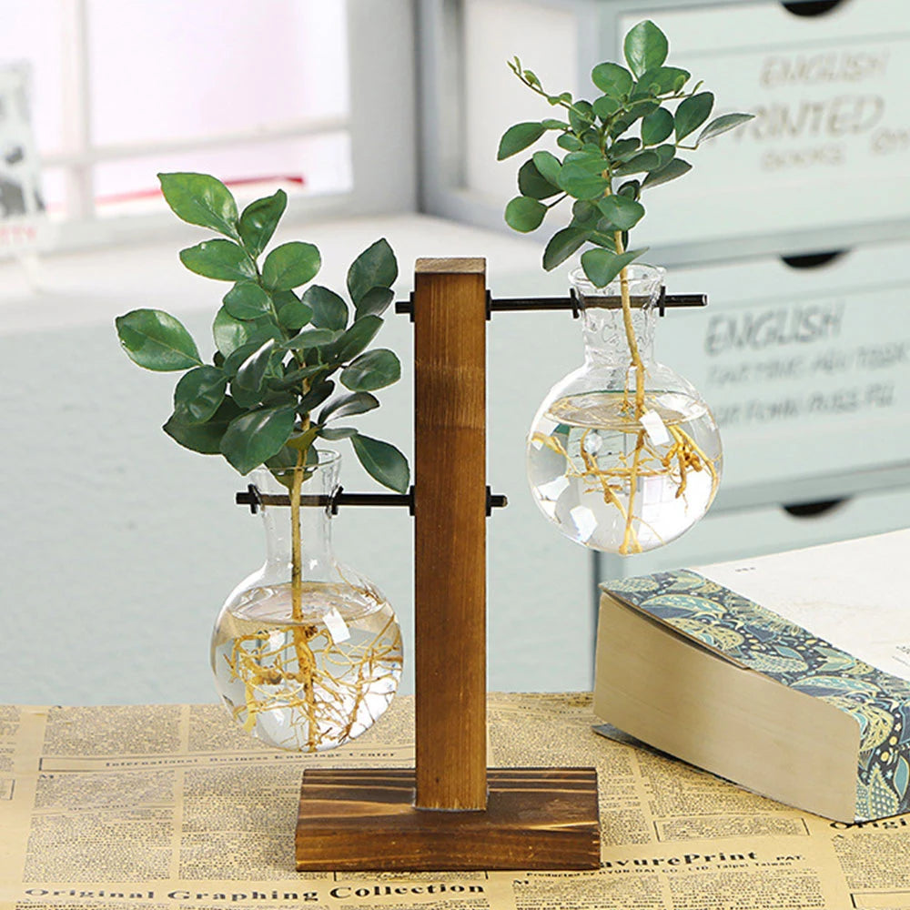vases verre transparents supports bois plantes hydroponiques industriel minimalisteintérieur rustic
