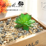 plantes succulentes artificielles vert feuilles pointues réaliste gravier boîte bois extérieur anniversaire exposantDecoration