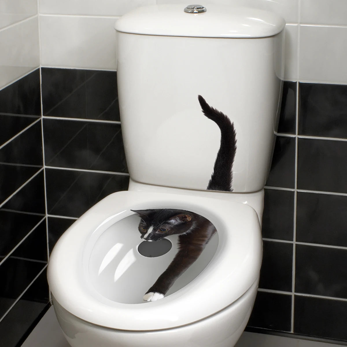 autocollants muraux toilette chat noir décoration salle bains pvc moderne adhésif unique blanc