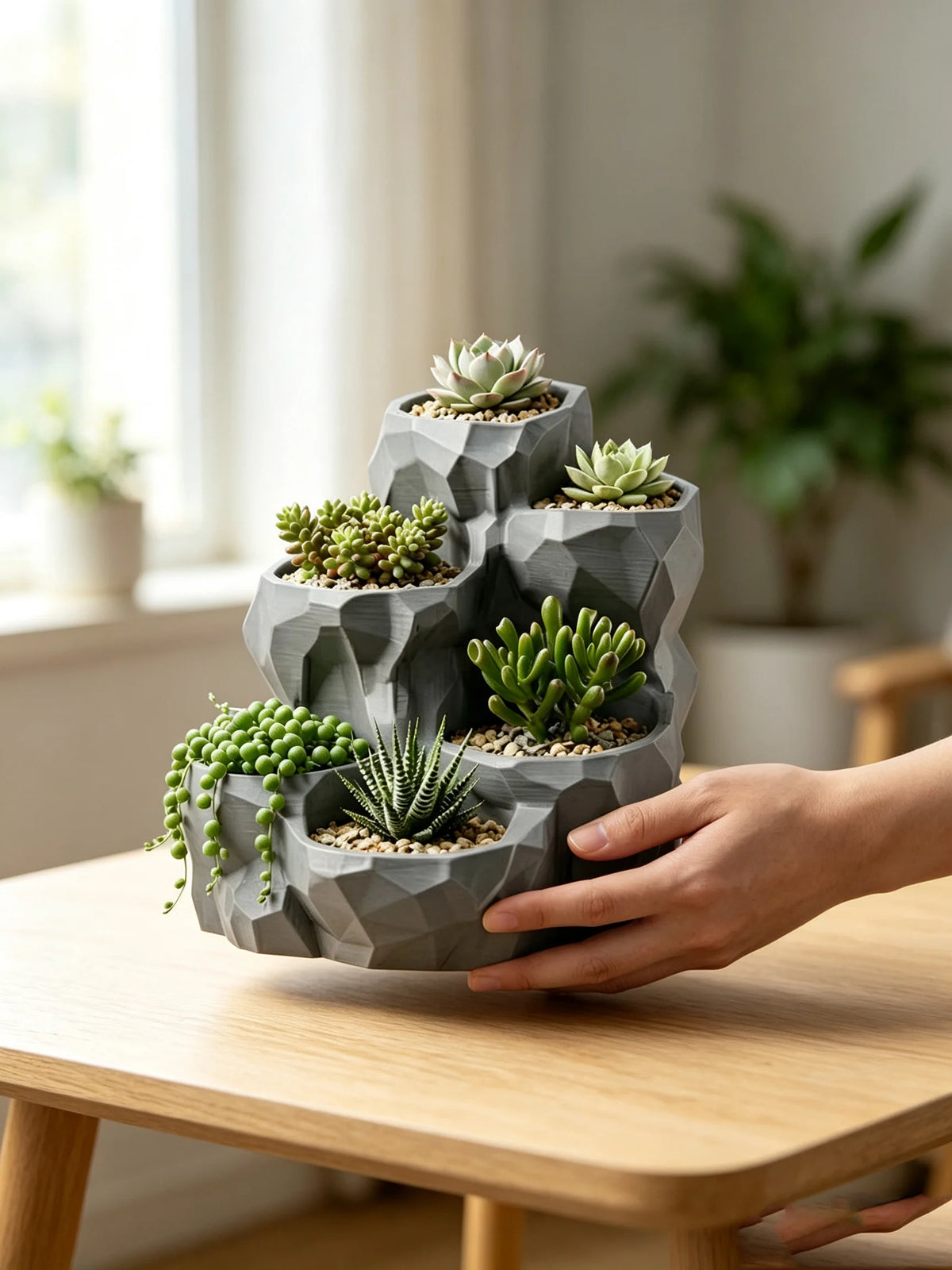 jardin moderne pot géométrique gris succulentes plusieurs compartiments plante verte minimaliste