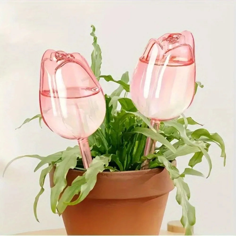pique plantes tulipe plastique rose violet blanc translucide moderne adhésif kit arrosage