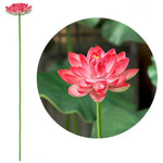 fleur artificielle lotus tige longue décoration intérieure vert rose blanc naturel détaillé Pods Feuilles