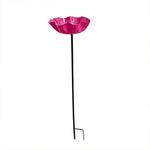 bassin oiseaux fleur rouge bleu moderne extérieur décoration pollinisateurs jardin