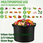 sacs culture tissu noir 10 gallon poignées renforcées aération jardinerie durable