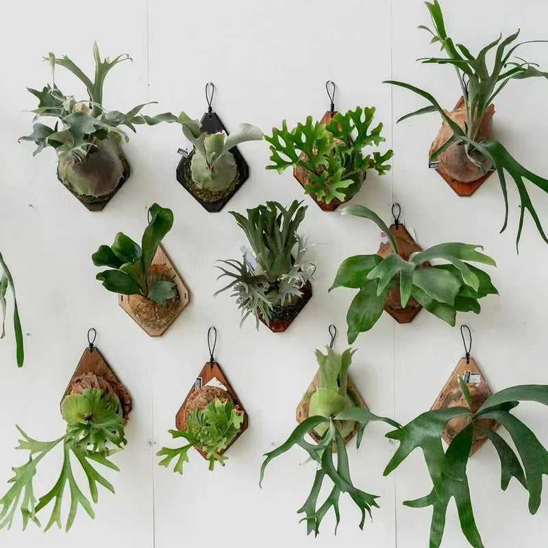 panier fleurs suspendus bois naturel rustique motifs géométriques plante verte
