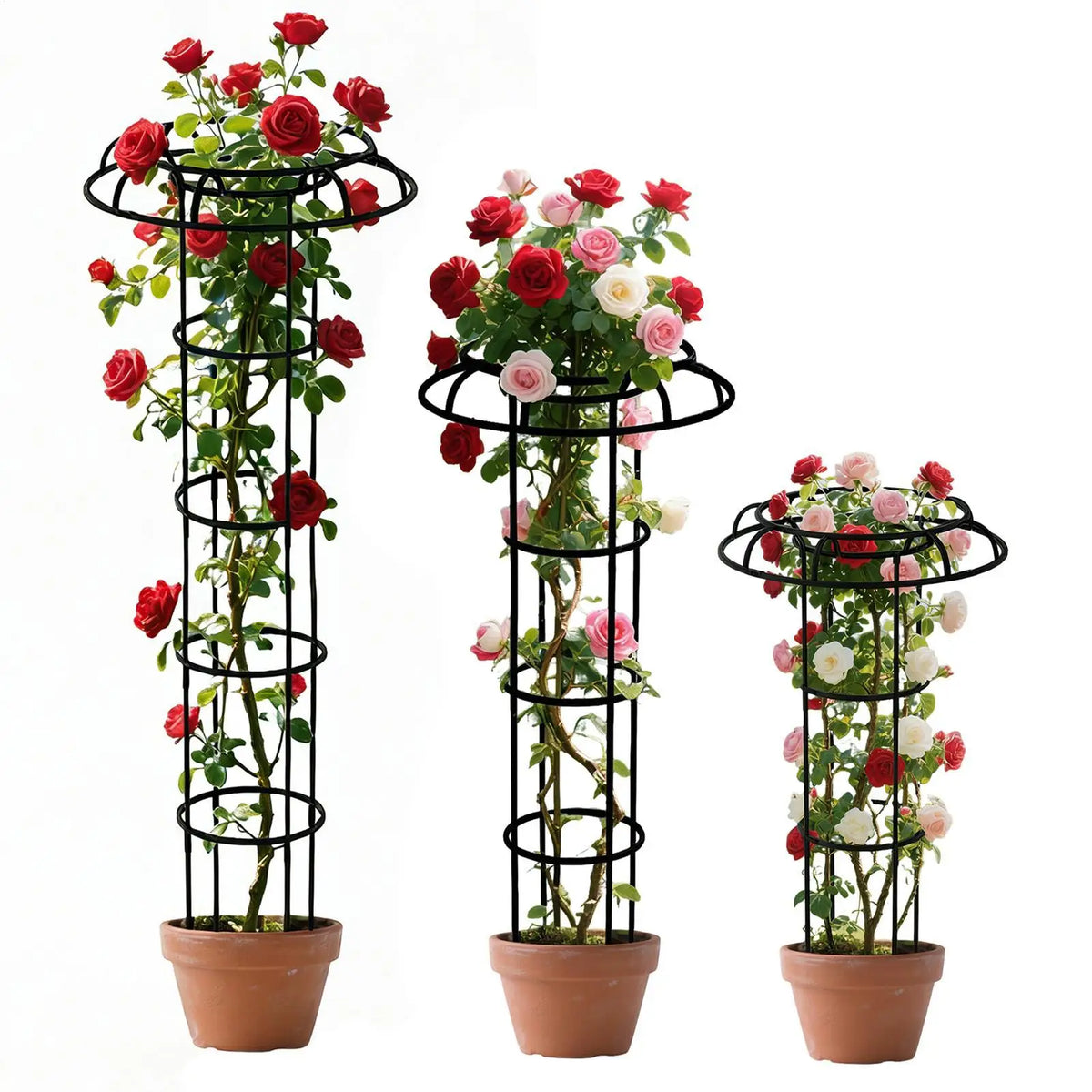 obélisque moderne plantes grimpantes treillis noir résistant intempéries spirale jardin décorationextérieur facileinstallation adaptableplantes