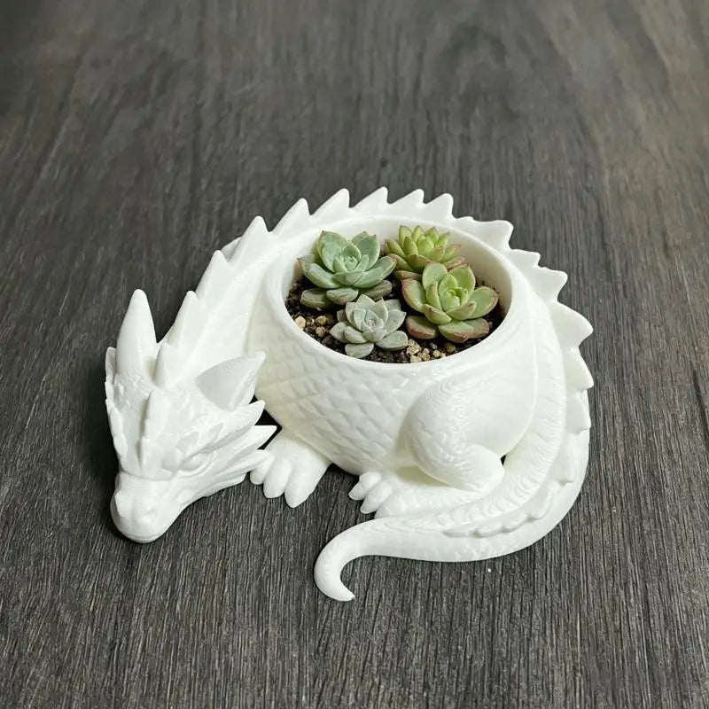 cache plante dragon noir blanc écaille fantaisie articulé succulentes