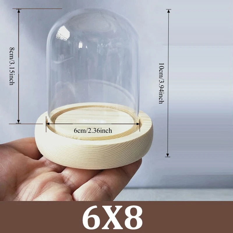 cloche verre transparent base bois jarre deco moderne minimaliste display centerpiece