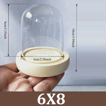 cloche verre transparent base bois jarre deco moderne minimaliste display centerpiece