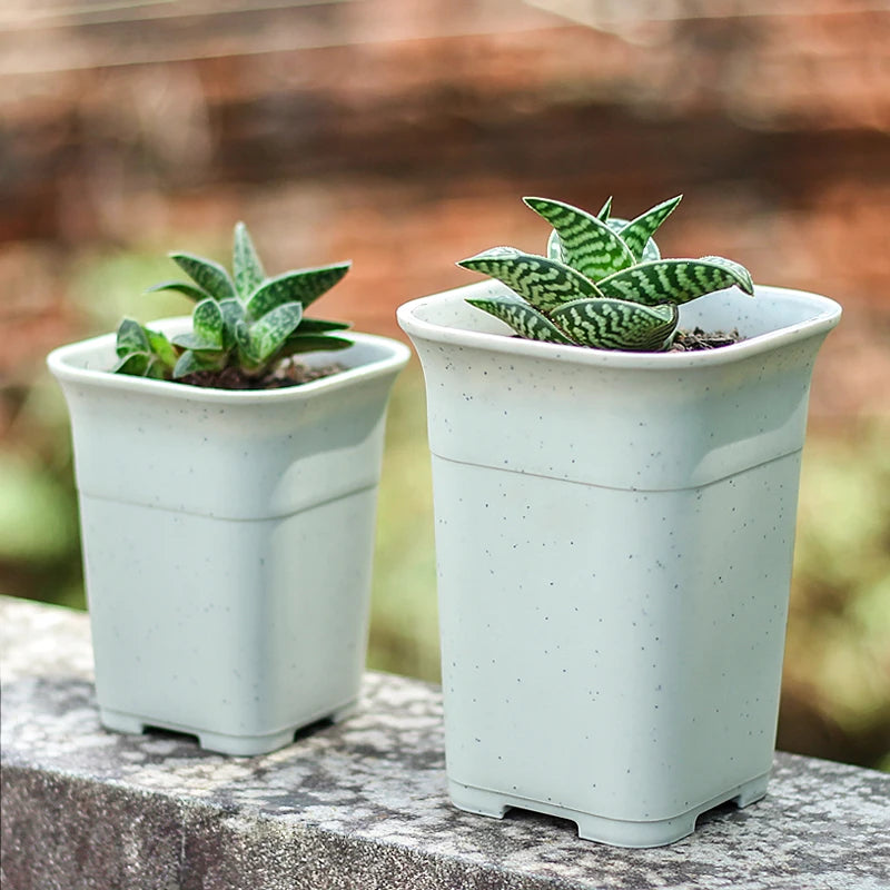 Pots fleurs carrés modernes blanc noir grains drainage 10 pièces