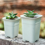 Pots fleurs carrés modernes blanc noir grains drainage 10 pièces