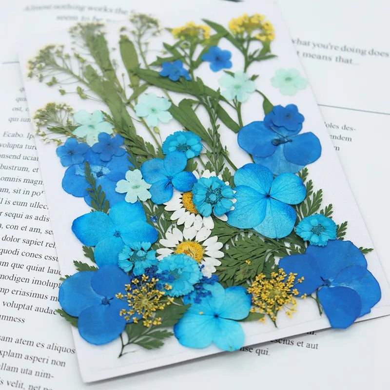 fleurs séchées multicolores variées naturelles scrapbooking décoration maison artisanat DIY