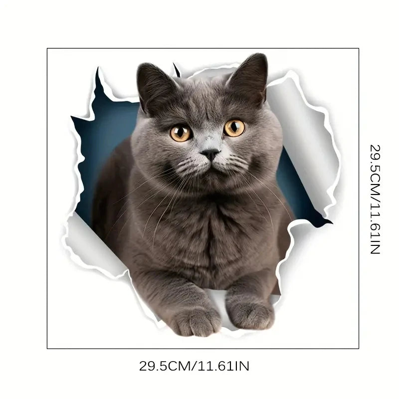 sticker mural chat 3d gris beige bleu noir autocollant animal compagnie mur carrelage meuble