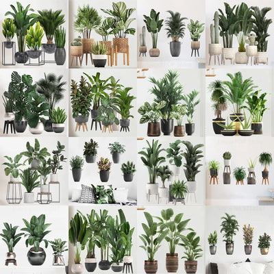 Sticker mural plante verte 3D tropical