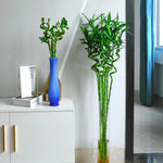 Bambou porte-bonheur en plastique durable pour jardin extérieur