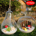 terrarium suspendu verre transparent plante mousse fleur moderne minimaliste