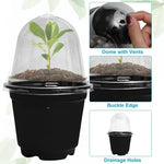 pots semis transparents noirs pratiques jardinage plantes croissance tablette étiquettes