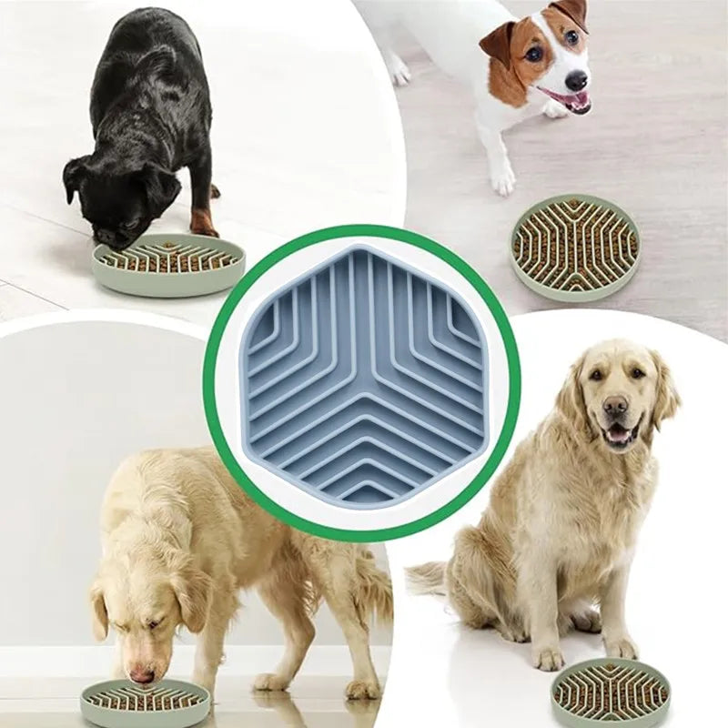 bol nourriture chien silicone vert bleu rose rayures horizontales grille perforation minimaliste