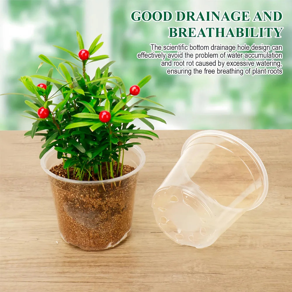pots semis transparents plastique pots culture taille pouces drainage fleurs plantes jardinage