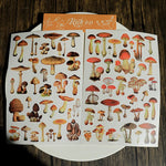 autocollants champignons vintage rouges beiges marrons scrapbooking craft diy stickers opaques