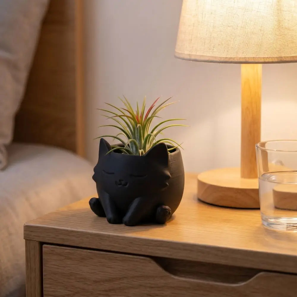 pot fleurs forme chat noir blanc pot succulentes plantes vertes décoration intérieure moderne mignonne
