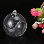 terrariums suspendus transparents verre moderne plante succulente galets blancs 10 12 15 cm