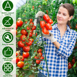 treillis support plantes grimpantes structure triangulaire treillage métallique jardinage rustique tubes connecteurs attaches