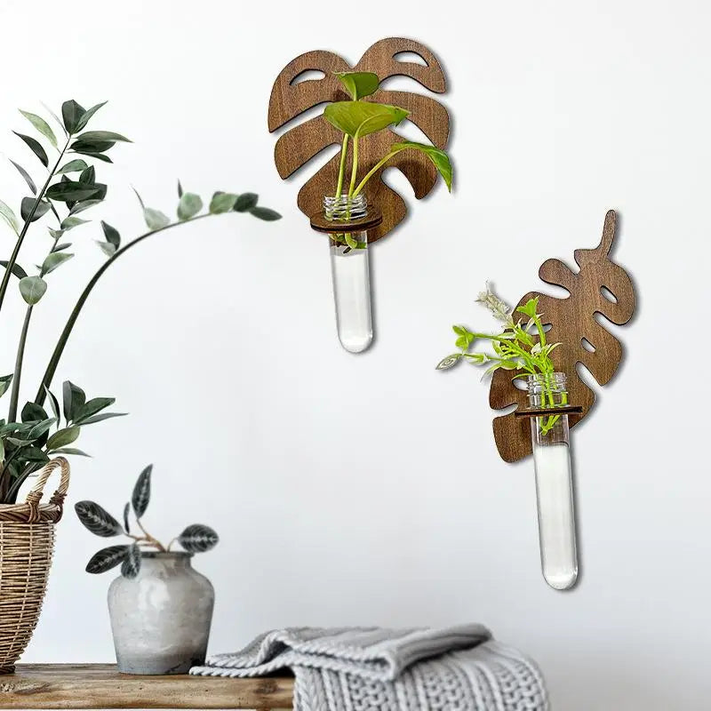support mural plante feuille monstera verre transparent adhésif minimaliste moderneintérieur deco bois naturel