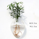 vase transparent moderne verre plante racines intérieur décoration hydroponique fleur