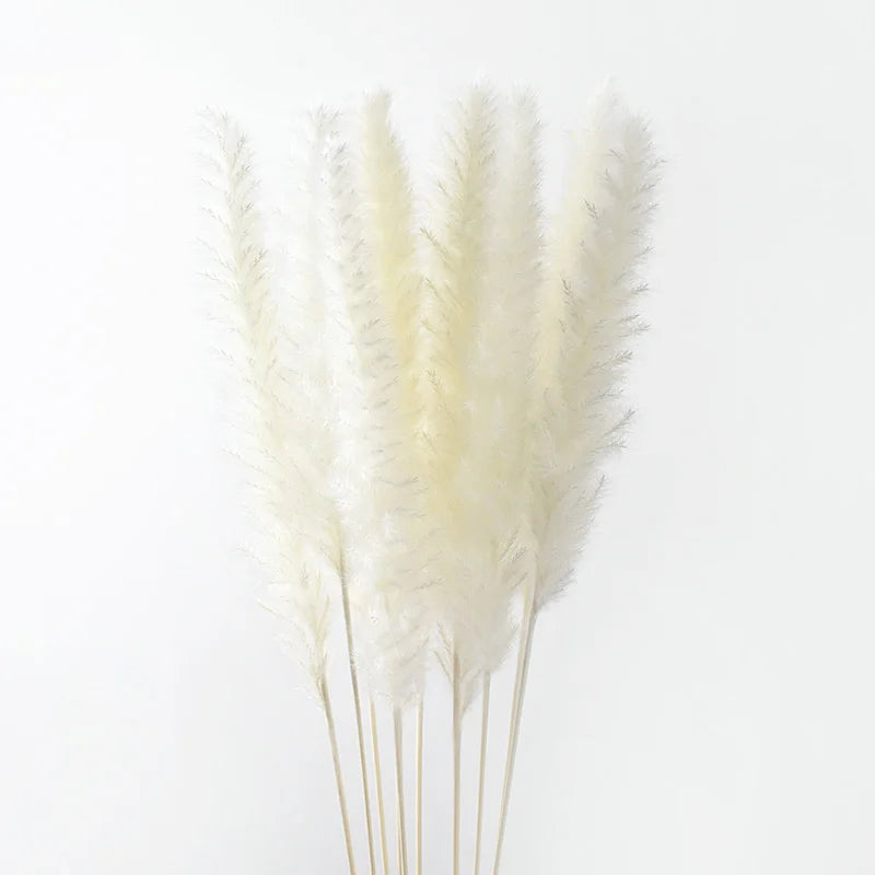 plumes pampas séchées blanches décorations fleurs naturelles rustiques mariage maison intérieur bouquet