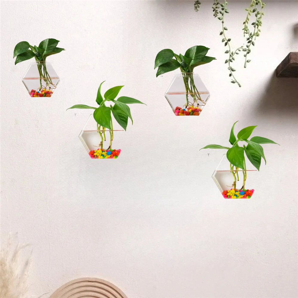 vase mural hexagonal transparent plantes aquatiques moderne décoration murale fixations métalliques éléments décoratifs multicolores