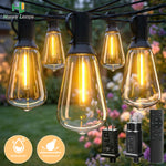 guirlande lumineuse led transparente dorée verre teinté forme cloche vintage clips noirs télécommande imperméableextérieur