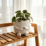 cache pot mignon main coeur souriant blanc vert pastel plantes succulentes décoration intérieure